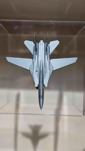 F14 Tomcat (Glue Required)