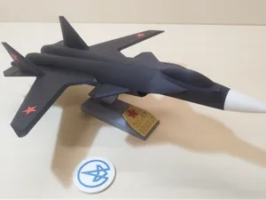 Su-47 Berkut/Firkin Fighter Jet