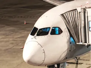 787 Dreamliner (希望你喜欢）