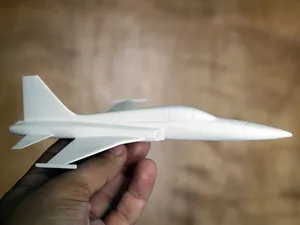 F5 Tiger scale model 1/64