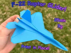 F-22 Raptor Glider
