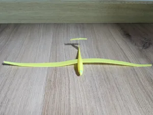 ASW20 Sailplane (micro glider - flyable)