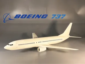 Small Boeing 737 / Print-In-Place 