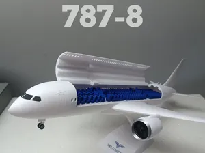 Beoing 787-8 model  (interior included)