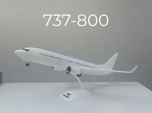 1/80 scale model 737-800