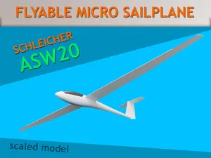 Schleicher ASW 20