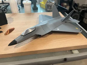 F-22 Raptor - 15" long!!