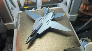 Fighter Jet F14 Tomcat
