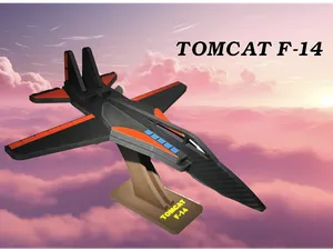 Tomcat F14 Fighter Jet