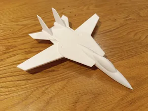 F-14 Tomcat