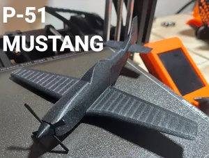 P-51 MUSTANG