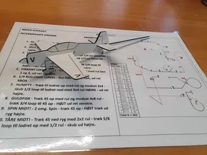Sukhoi SU-29 Stickplane