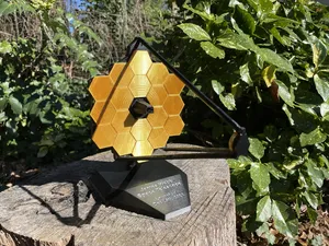 James Webb Space Telescope Mirror (1:40)