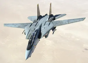 F 14 TOMCAT