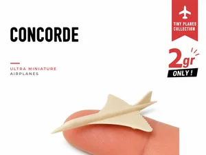 Tiny Concorde - Mini Planes Series