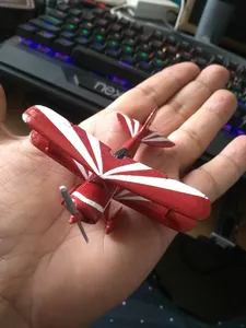 Pitts Special