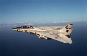 F-14 Tomcat US Navy Fighter Jet (Made Horizontal For Less Support And Smooth Print)